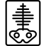 x-ray-1